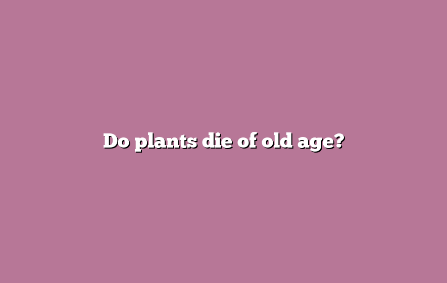 Do plants die of old age?