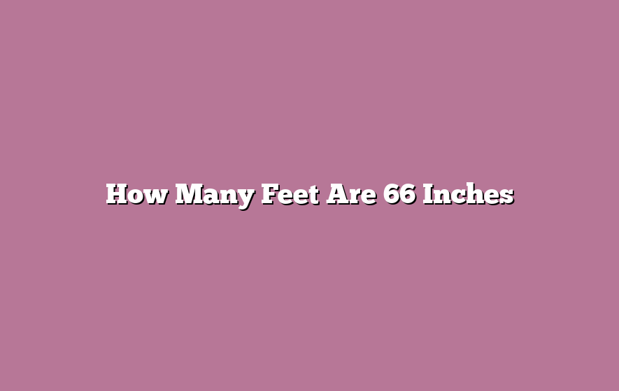 How Many Feet Are 66 Inches