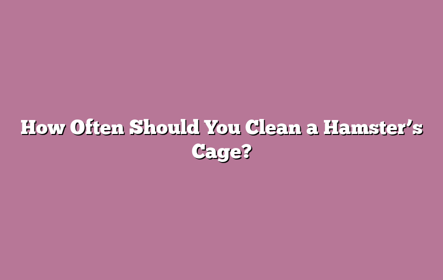 How Often Should You Clean a Hamster’s Cage?