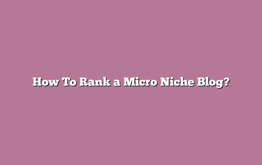 How To Rank a Micro Niche Blog?