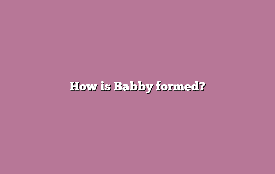How is Babby formed?