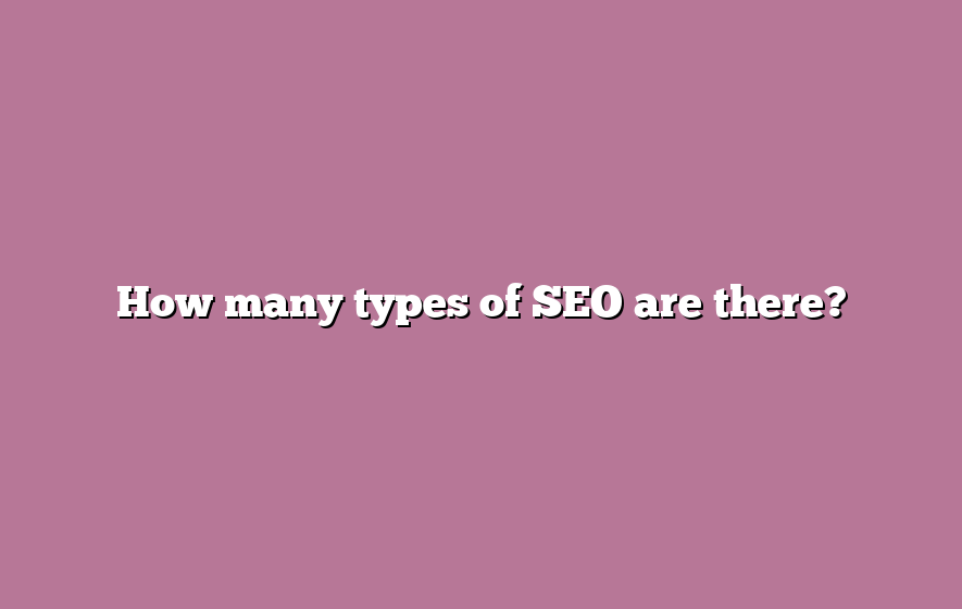 How many types of SEO are there?