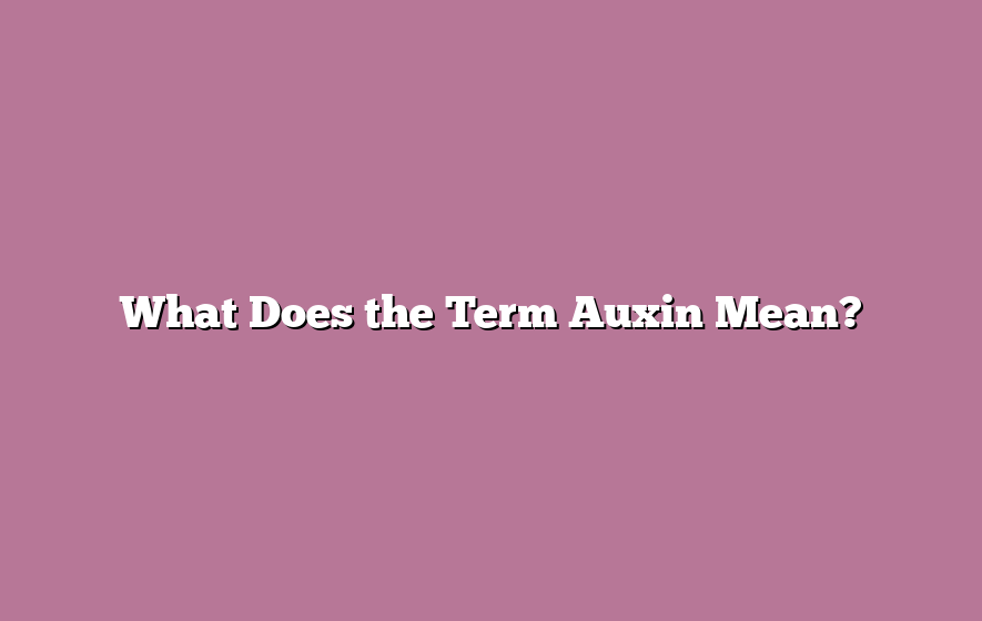 What Does the Term Auxin Mean?