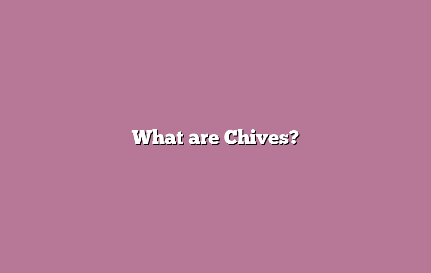 What are Chives?