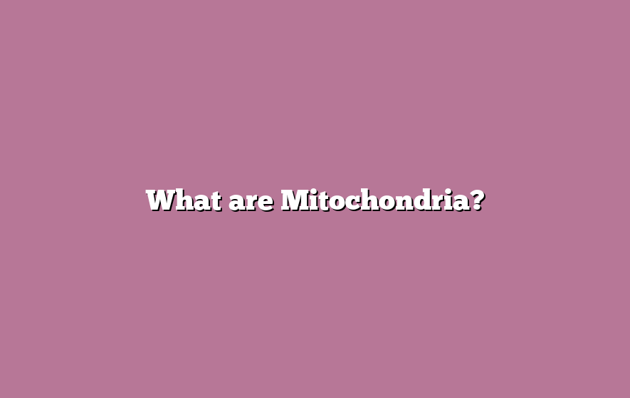 What are Mitochondria?