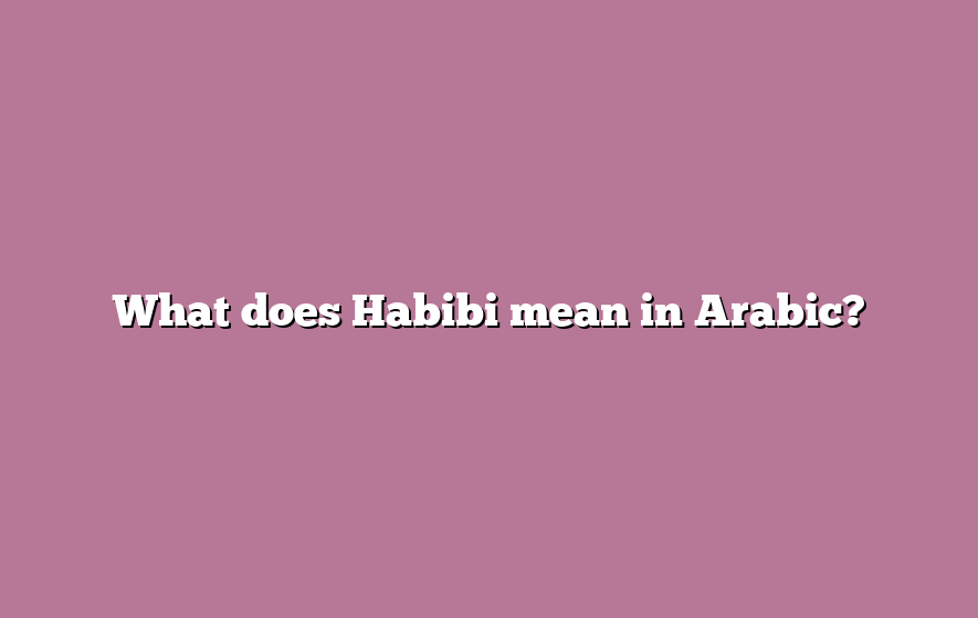 What does Habibi mean in Arabic?