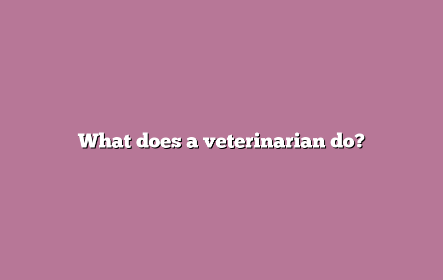 What does a veterinarian do?