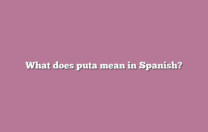 What does puta mean in Spanish?