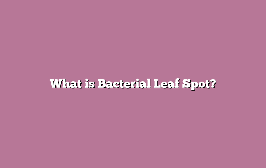 What is Bacterial Leaf Spot?