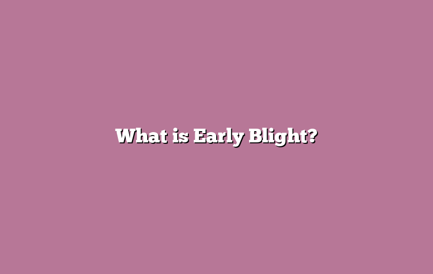 What is Early Blight?