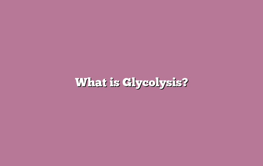 What is Glycolysis?