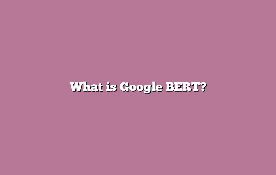What is Google BERT?