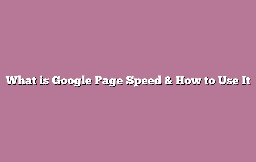 What is Google Page Speed & How to Use It