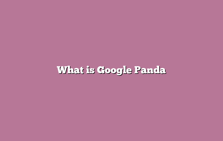 What is Google Panda