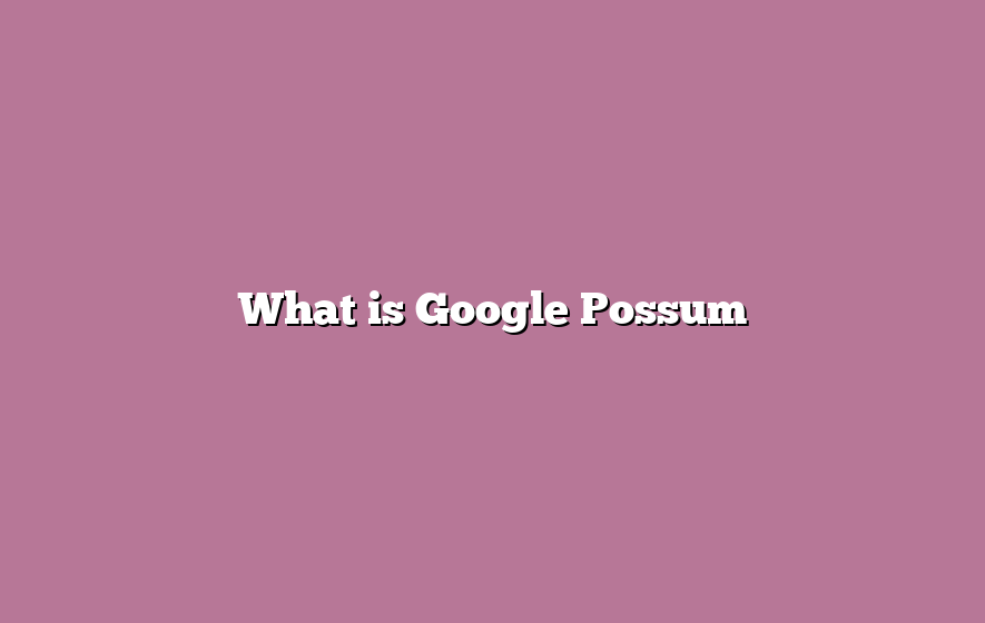 What is Google Possum