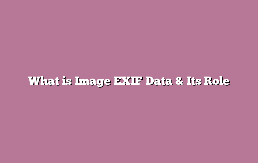 What is Image EXIF Data & Its Role