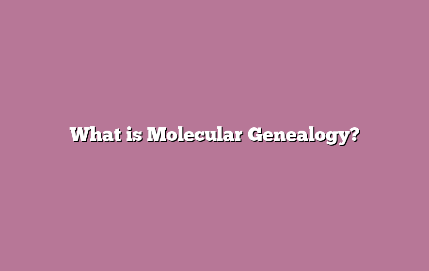 What is Molecular Genealogy?