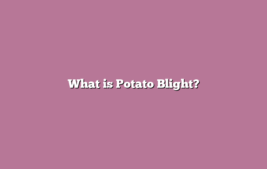 What is Potato Blight?