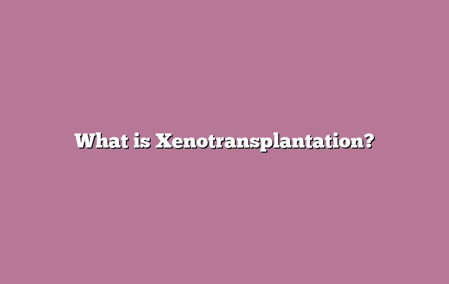 What is Xenotransplantation?