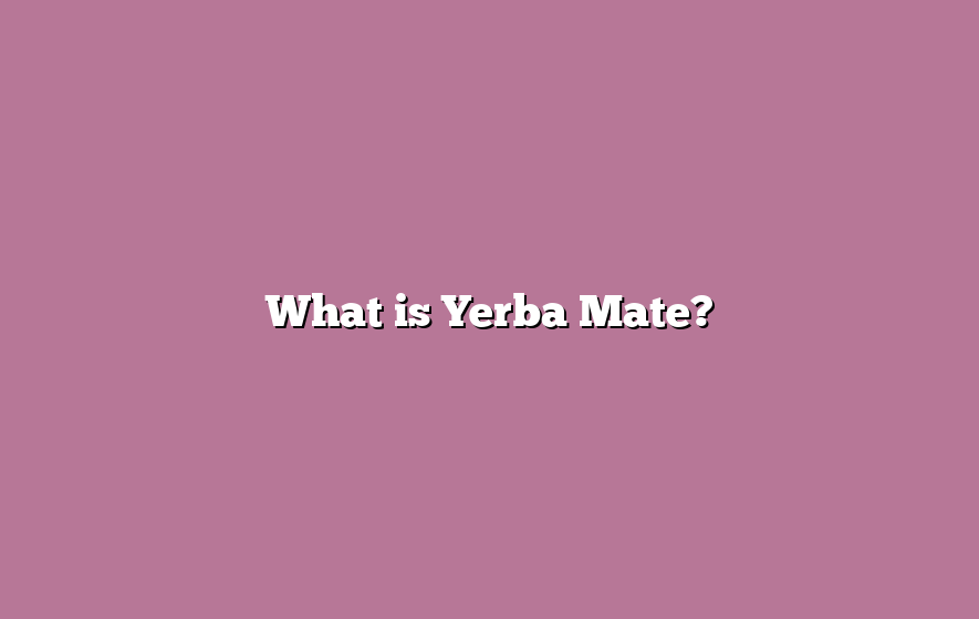 What is Yerba Mate?