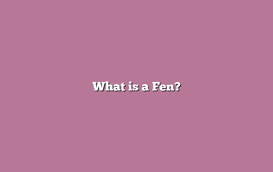 What is a Fen?