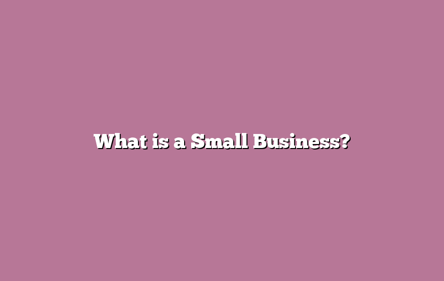 What is a Small Business?