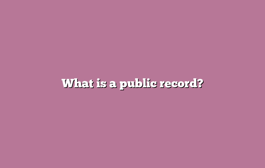 What is a public record?