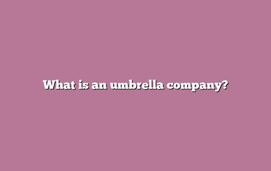 What is an umbrella company?