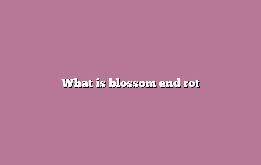What is blossom end rot