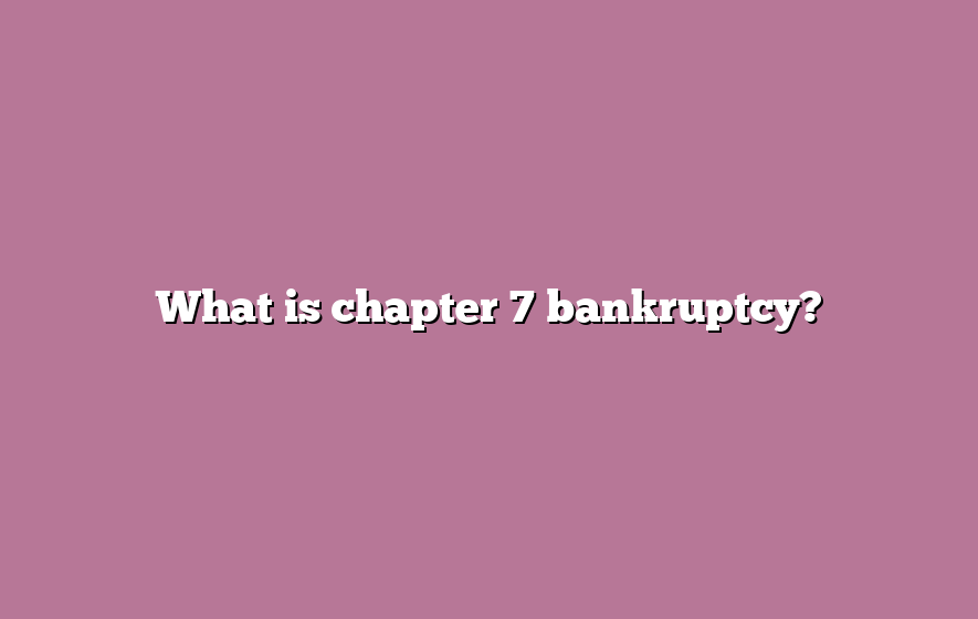 What is chapter 7 bankruptcy?