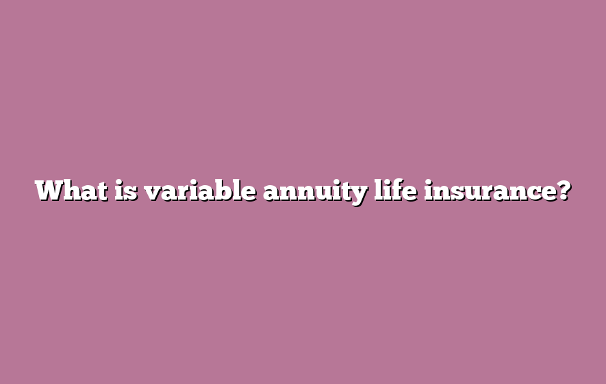 What is variable annuity life insurance?