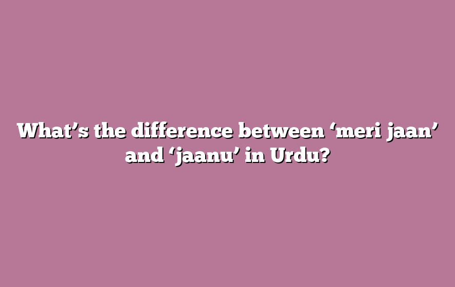 What’s the difference between ‘meri jaan’ and ‘jaanu’ in Urdu?
