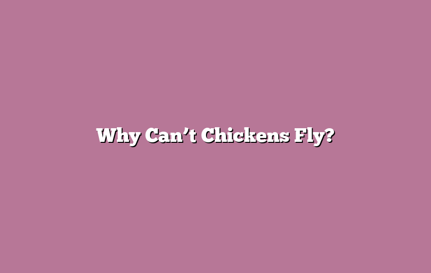 Why Can’t Chickens Fly?