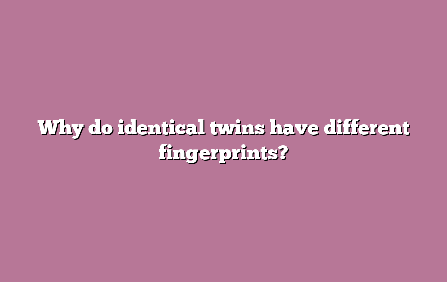 Why do identical twins have different fingerprints?