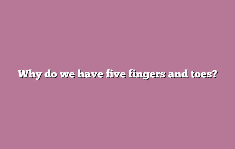 Why do we have five fingers and toes?